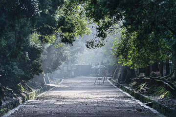 奈良県【春日大社への参道】