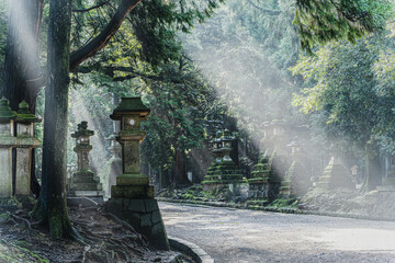 奈良県【春日大社への参道】