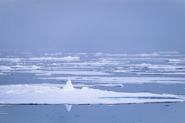 Foggy sea with ice in arctic © Lars Johansson