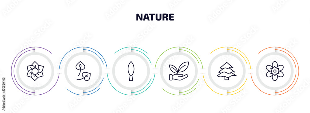 Poster nature infographic element with outline icons and 6 step or option. nature icons such as daffodil, a