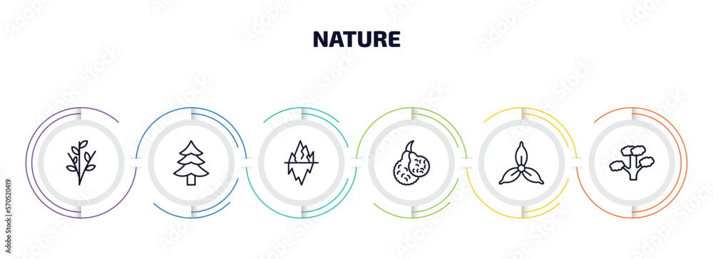 Poster nature infographic element with outline icons and 6 step or option. nature icons such as willow, ced
