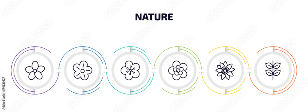 Poster nature infographic element with outline icons and 6 step or option. nature icons such as oleander, p