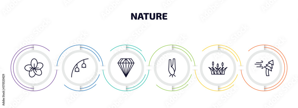 Poster nature infographic element with outline icons and 6 step or option. nature icons such as sakura, blu