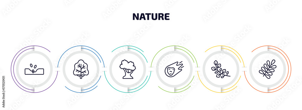 Poster nature infographic element with outline icons and 6 step or option. nature icons such as sow, white 
