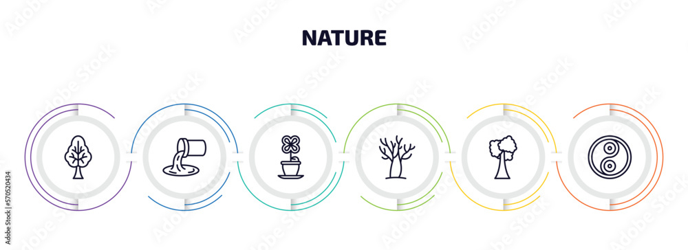 Poster nature infographic element with outline icons and 6 step or option. nature icons such as tree with b