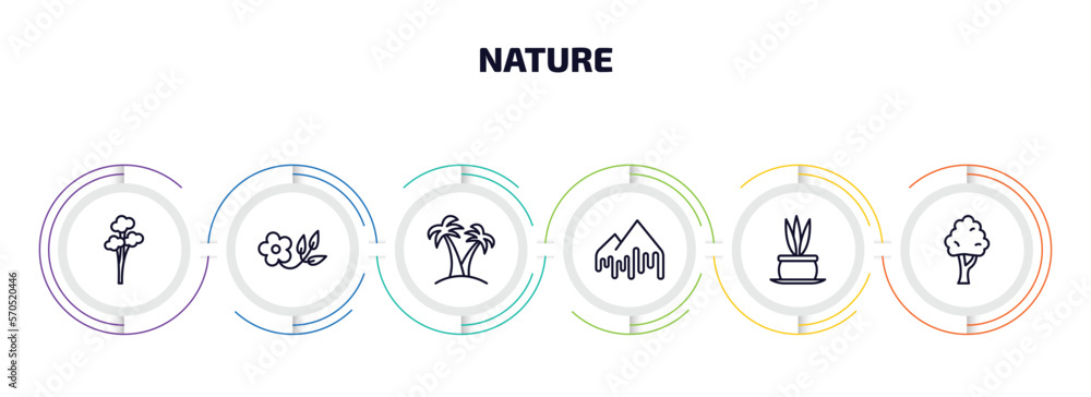 Poster nature infographic element with outline icons and 6 step or option. nature icons such as quaking asp
