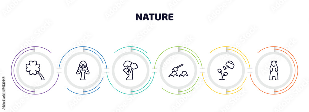 Poster nature infographic element with outline icons and 6 step or option. nature icons such as four leaf c