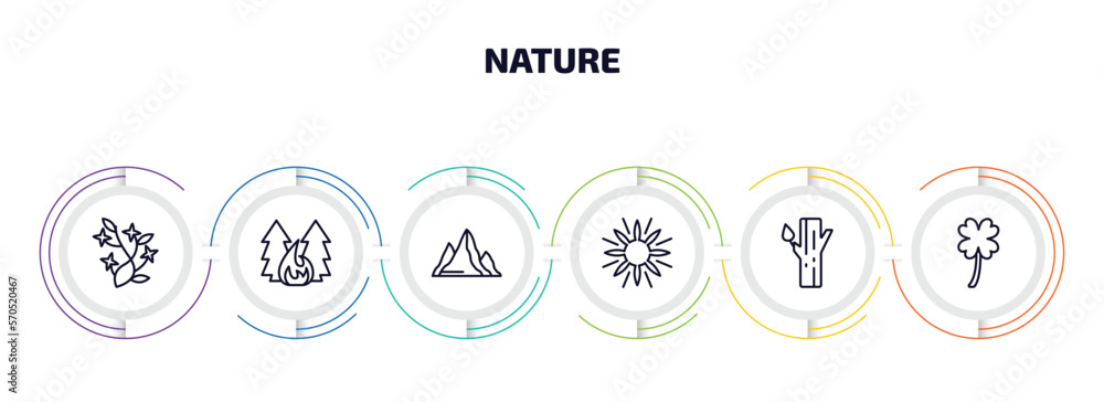 Poster nature infographic element with outline icons and 6 step or option. nature icons such as ikebana flo