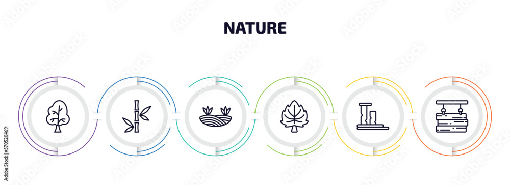 Poster nature infographic element with outline icons and 6 step or option. nature icons such as sugar maple