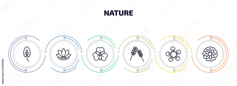 Aufkleber nature infographic element with outline icons and 6 step or option. nature icons such as spear shape