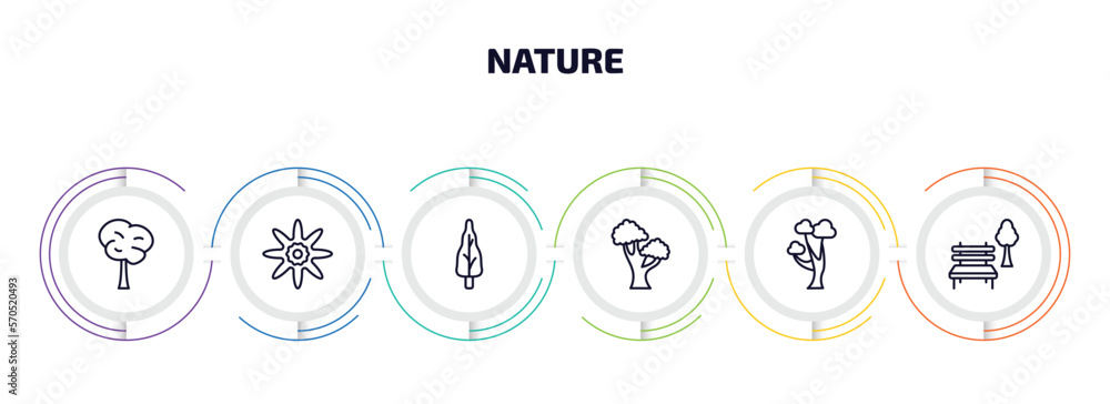 Poster nature infographic element with outline icons and 6 step or option. nature icons such as bigtooth as