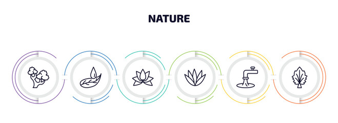 nature infographic element with outline icons and 6 step or option. nature icons such as northern red oak tree, leaf and drop, beautiful lotus flower, agave, wate, silver maple tree vector.