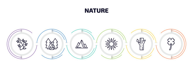 nature infographic element with outline icons and 6 step or option. nature icons such as ikebana flowers, forest fire, hill, sun flare, trunk, clovers vector.