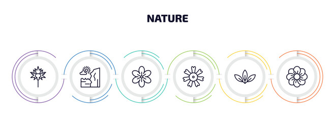 nature infographic element with outline icons and 6 step or option. nature icons such as carnation, cliff, geranium, dianthus, acicular, pansy vector.
