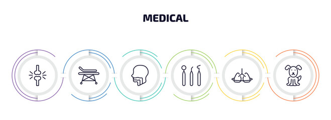 medical infographic element with outline icons and 6 step or option. medical icons such as femur, hospital bed side view, pharynx, dentist tool, breath control, canine vector.
