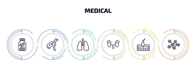 medical infographic element with outline icons and 6 step or option. medical icons such as medicine capsules, gallbladder, lungs, adrenal gland, epidermis, three hexagons cell vector.