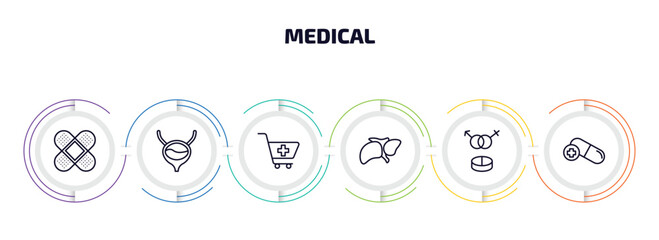 medical infographic element with outline icons and 6 step or option. medical icons such as bandage cross, bladder, phary shopping cart, liver, united heterosexual, antibiotic vector.