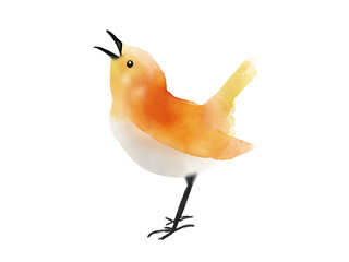 鳥