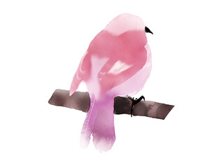 鳥