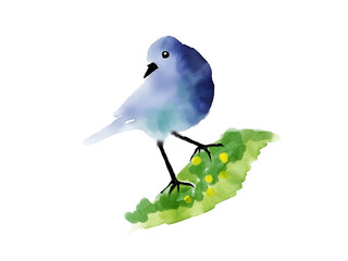 鳥