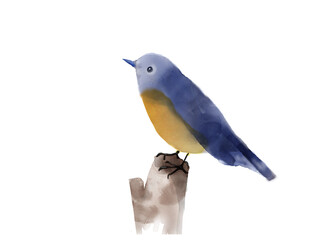鳥