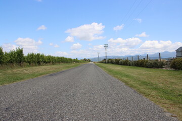 Fototapeta na wymiar Straight road in the Marlborough wine region on the South Island of New Zealand.