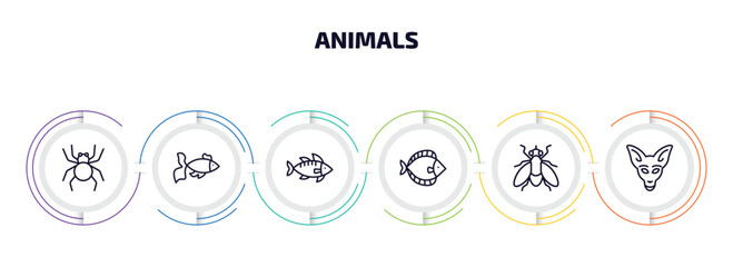 animals infographic element with outline icons and 6 step or option. animals icons such as spider, gold fish, zander, flounder, fly, kangaroo vector.