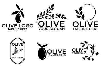 Set of branch olive tree. Black and white outline silhouette. Vector illustration