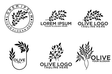 Set of branch olive tree. Black and white outline silhouette. Vector illustration