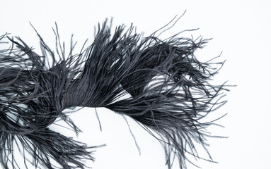 Bunch of long black feathers on white background