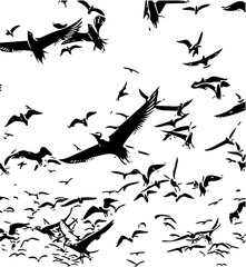 birds in the sky