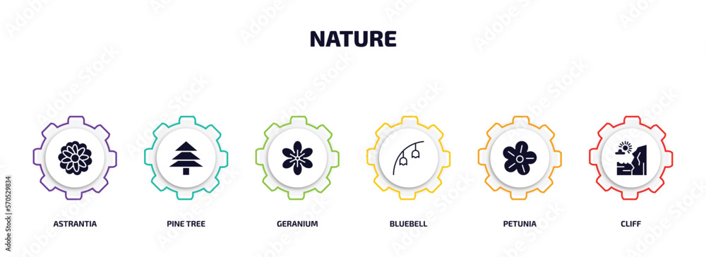 Poster nature infographic element with filled icons and 6 step or option. nature icons such as astrantia, p