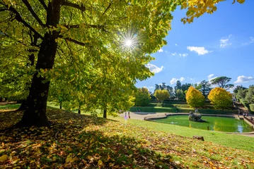Outdoor-Kissen Boboli Gardens within the Pitti palace in Florence in autumn. © Ondrej Bucek
