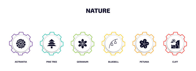 nature infographic element with filled icons and 6 step or option. nature icons such as astrantia, pine tree, geranium, bluebell, petunia, cliff vector.