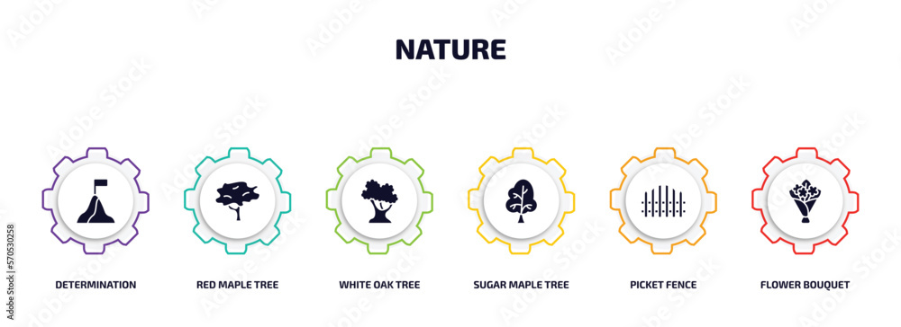 Poster nature infographic element with filled icons and 6 step or option. nature icons such as determinatio