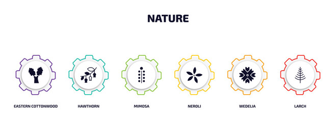 nature infographic element with filled icons and 6 step or option. nature icons such as eastern cottonwood tree, hawthorn, mimosa, neroli, wedelia, larch vector.