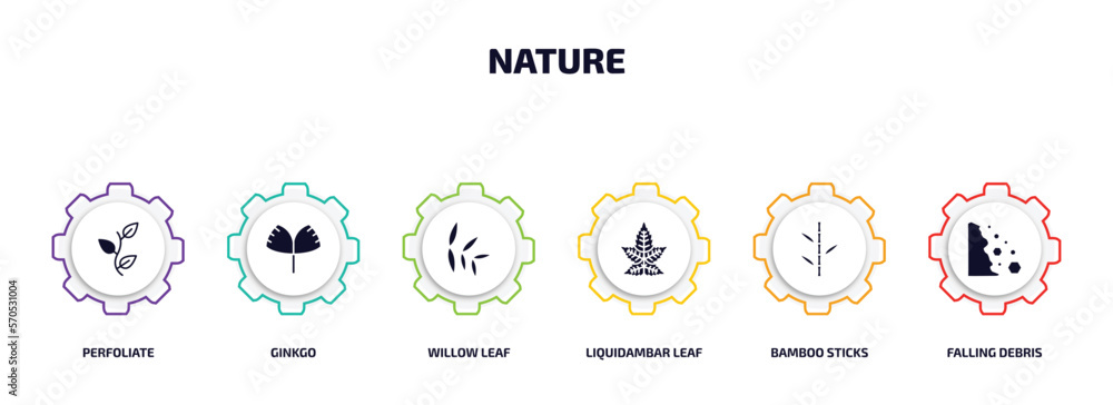 Poster nature infographic element with filled icons and 6 step or option. nature icons such as perfoliate, 