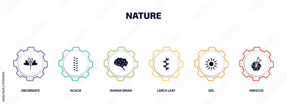 Poster nature infographic element with filled icons and 6 step or option. nature icons such as obcordate, a