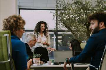 Gorgeous brunette businesswoman giving her opinion about the project's problem to her colleagues