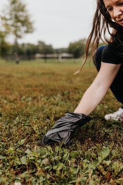 close up of a woman cleaning up dog poop at local dog park