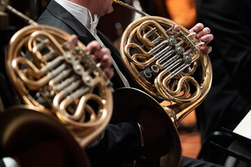 French horn players playing during a classical symphony orchestra concert