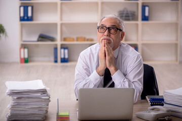 Old male employee working in the office