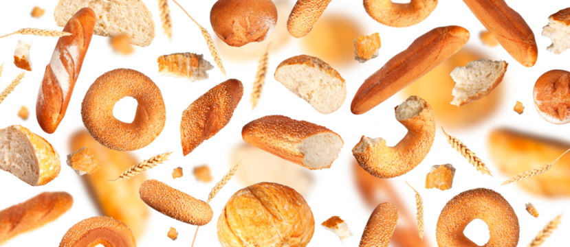 Various types of bread, ears of wheat flying isolated on white background. With clipping path. Cut out round bread, baguette, bun, sesame bagel. Organic Healthy Fresh bread mockup
