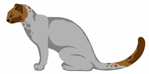 Jaguarundi vector cartoon illustration isolated on white