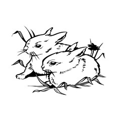 a pair of rabbits on a white background,vector illustration