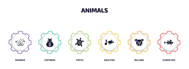 animals infographic element with filled icons and 6 step or option. animals icons such as seaweed, capybara, turtle, gold fish, bulldog, clown fish vector.