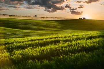 Sunset, the tractor driving through the green fields, clouds of dust return behind it. 