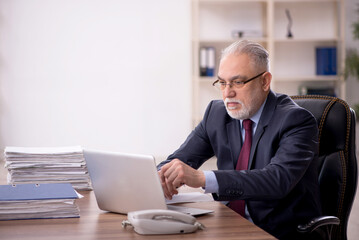 Old male boss working at workplace