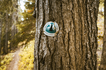 Pacific Crest Trail Sign Grown Into Tree In Washington State