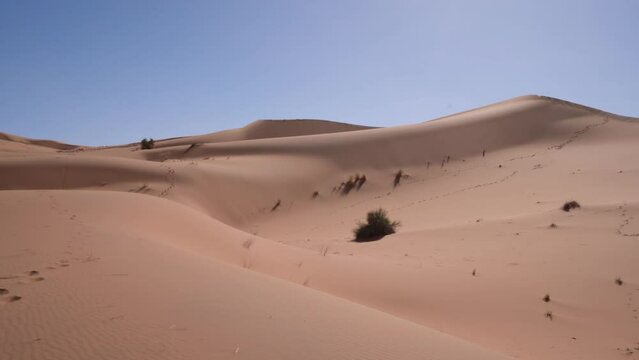 Footprints Left At Sand Dunes In Sahara Desert Camp Near Merzouga